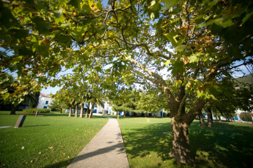 SLOVENSKA PLAZA HOTEL - Изображение 1